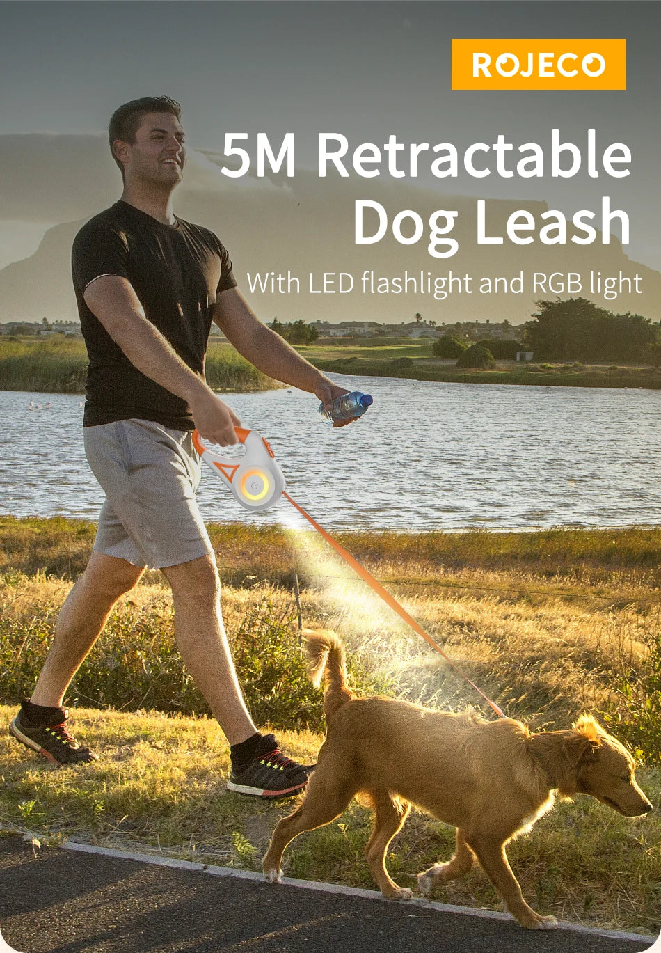 5M LED Retractable Dog Leash – Luminous, Stylish, and Durable for Walking & Running