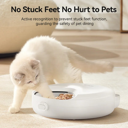 Smart Automatic Cat & Dog Feeder - 4 Meals, Wet & Dry Food Dispenser