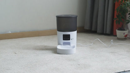 Smart Auto Cat Feeder – Camera, Voice Recorder & Remote Control